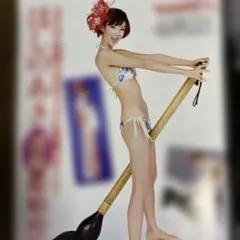 FLASH 2008年 皆藤愛子 ほしのあき　　佐々木希