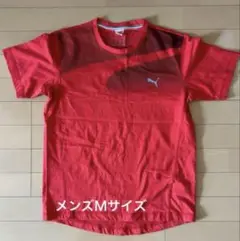 Item thumbnail for item 0f0e640b-1a9e-4f92-98d3-d32c1cf25242