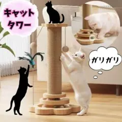 Item thumbnail for item ae9b3490-33c0-417b-abac-5021f2c5a69f