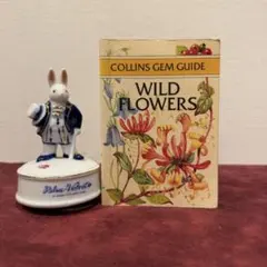 2026年最新】アンティーク植物図鑑の人気アイテム - メルカリ