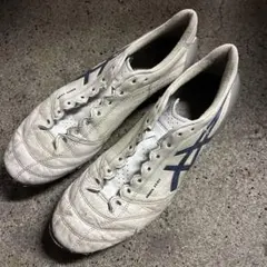 アシックスDS LIGHT