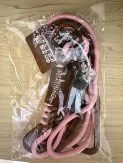 マサヒロ キラリ ペンライトショルダーストラップ 超特急 - メルカリ