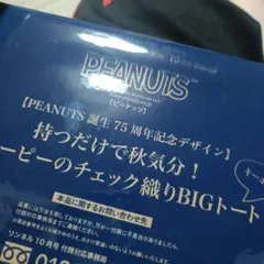 リンネル付録　ピーナッツ　スヌーピーチェック織りトート