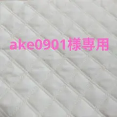 Item thumbnail for item 624f4edf-9158-4bdd-8ab3-0cdc945c2271