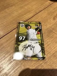 阪神タイガース　野口恭介　オンサイトカード