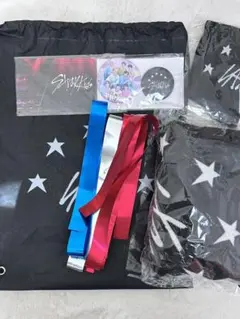 StrayKids　スキズ　アップグレード　s-classシート