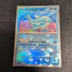 ナミイルカ マスターボール