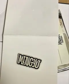 SEVENTEEN HOLIDAY PINS ピンバッジ MINGYU ミンギュ