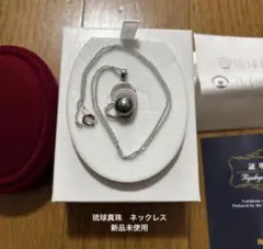 東京電話　「ハイッテル？トクシテル！」　銀だいこんくん　TTNet 懸賞当選品 東京電話 「ハイッテル？トクシテル！」 銀 だいこんくん TTNet 懸賞