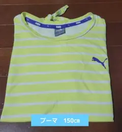 プーマ　半袖Tシャツ　女の子　150㎝