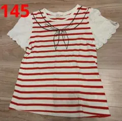 145　BEAMS　グリーンレーベルリラクシング　ボーダー