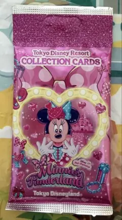 ディズニー　パルパルーザ　ミニー　ファンダーランド　コレクションカード