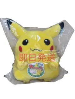 ポケモン 30周年記念 おかえり!ピカチュウ1/1