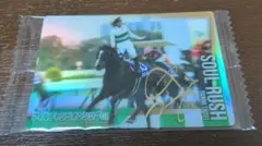 オマケ付　サラブレッドホースコレクション　第3R ソウルラッシュ 金色箔サイン