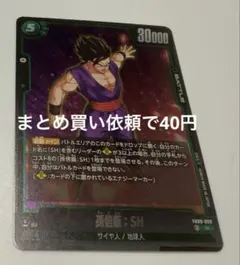 ドラゴンボールスーパーカードゲームFB09ー059③R孫悟飯：SH