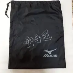 Mizuno空手道　防具入れ　(中古)