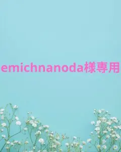 emichnanoda様専用