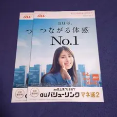 相武紗季 OCN 光インターネットカタログ NTT 2009年版 - メルカリ