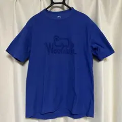 Item thumbnail for item 36490091-ccf0-44ee-85a7-6714b28ac1d7