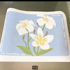 Item thumbnail for item 0a123053-dd21-40e4-a195-666f4e2432d3