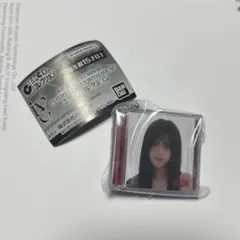 IVE ユジン キーホルダー