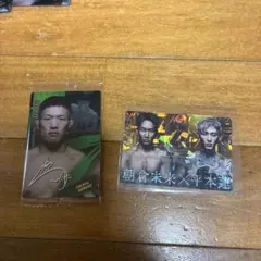 rizinウエハース