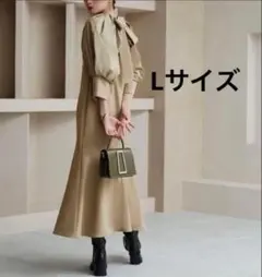 Item thumbnail for item 95f742ce-3d2d-456a-acb5-87d90855583a