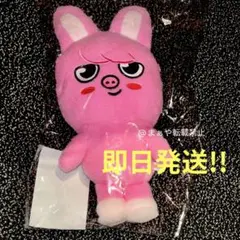 チャンビン ぬいぐるみバッグ ソウル グッズ Dwaekki トエッキ run チャンビン ぬいぐるみバッグ ソウル Dwaekki トエッキ run it - メルカリ