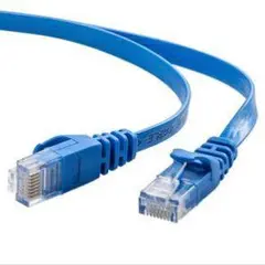 青色 LANケーブル RJ45コネクタ