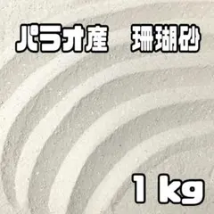 天然】パラオ産 珊瑚砂 1kg 極細サイズ 2 - メルカリ