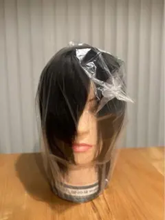 2026年最新】国家試験 カットウィッグ ビューラックスの人気アイテム