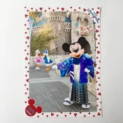 ディズニー スペシャルフォト 正月 ミッキー