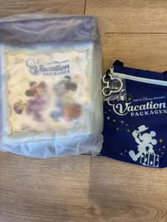 東京ディズニーリゾート Vacation Packages