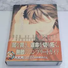 【美品】エンド オブ エタニティ コンプリートガイド