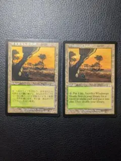 MTG 吹きさらしの荒野/Windswept Heath ONS 日本語版① - メルカリ
