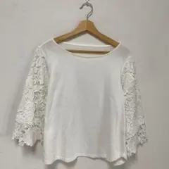 レーススリーブ　白　ブラウス　プルオーバー　無地　カットソー　トップス【L】春