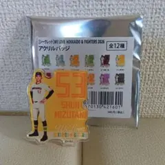 WE LOVE HOKKAIDO アクリルバッジ 水谷瞬 シークレット