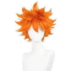 ハイキュー‼︎ 日向翔陽　ウィッグ　コスプレ