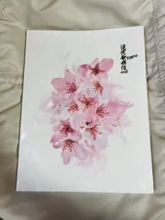 Snow Man滝沢歌舞伎ZERO FINALパンフレット