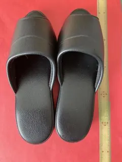 Item thumbnail for item 695b1050-65a0-435f-a032-974470163837