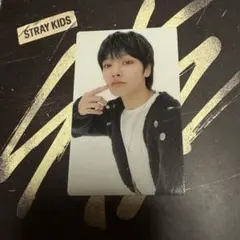 Stray Kids スキズ アイエン トレカ 会場限定トレカ