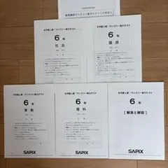 2026年最新】sapix 入室テストの人気アイテム - メルカリ
