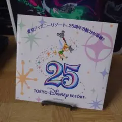 東京ディズニーランド　25周年　バケーションパッケージDVD