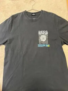 Stussy Herby's Tシャツ Lサイズ 黒