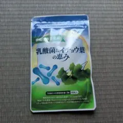 乳酸菌＆イチョウ葉の恵み 和漢の森 機能性表示食品 - メルカリ