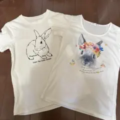 うさぎのTシャツ 2枚セット