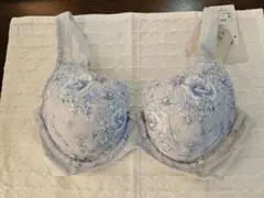 トリンプ　恋するブラ　 E65　ワイヤー入り