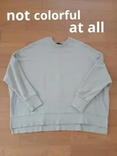 notcolorfulatallワイドトレーナー/スウェット