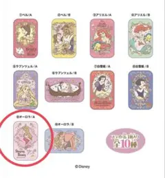 すらいどきゃん／ディズニープリンセス２　オーロラA