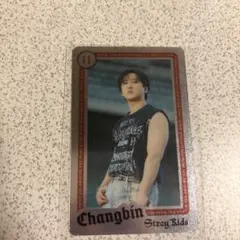 スキズ トレカ チャンビン